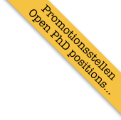 Open Positions
